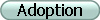 Adoption